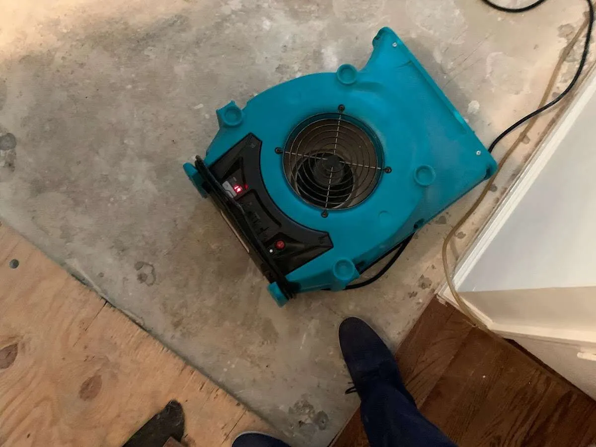 Air mover drying subfloor during Leak Detection & Repair in Louisburg